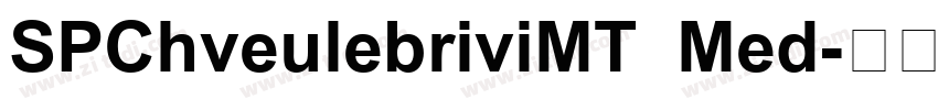 SPChveulebriviMT Med字体转换